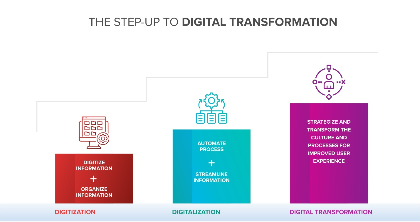 Making digital transformation your company’s DNA